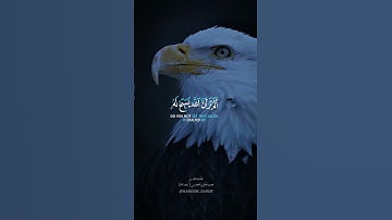 فضيلة الشيخ محمود خليل الحصري رحمه الله || تلاوة من سورة النور