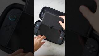 I Bought a $10 Switch Case! @LewisToh