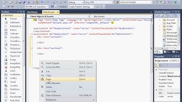3 Simple POS formating ASP NET web page