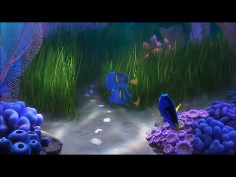 DORY//Played-A-Live//AMV