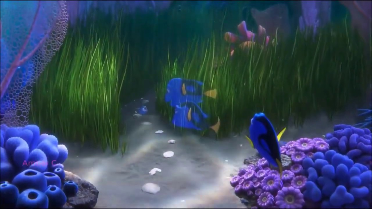 Dory R DORY//Played-A-Live//AMV - YouTube