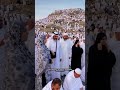 Labbaik allahumma labbaik#islamicshorts #hajj2026 #arafat #lifeisbutadream #love #arafatsermon