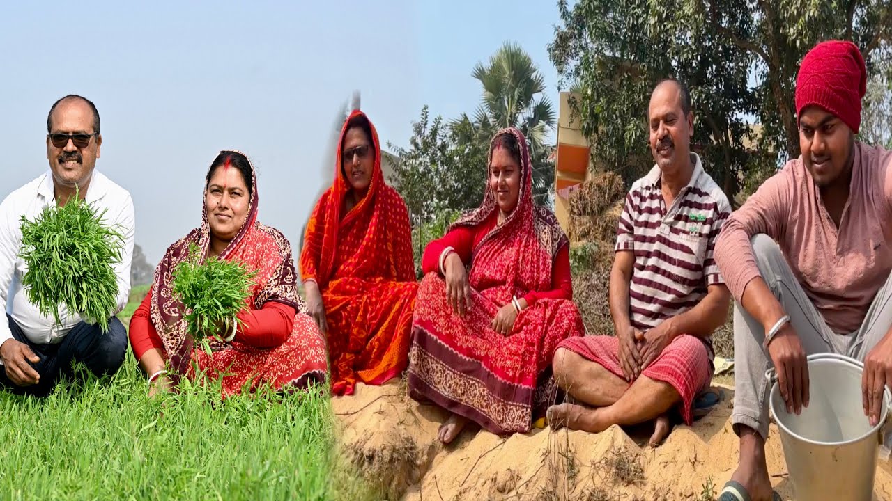 সবাই মিলে এত বড় পুকুরে মাছ ধরবো ভাবতে পারিনি // @TradiSwad @tradiswadvlog6578