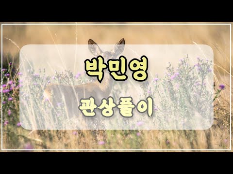 관상과학 박민영 관상 「꽃사슴상이란…?」