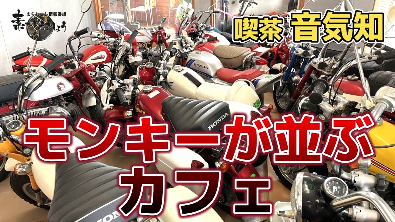 【素でどうでしょう】凄すぎる！カフェに並ぶモンキーの大群‼️  美味しいコーヒーと音楽も楽しめます！ 【駒ヶ根市：音気知】 22年9月号①