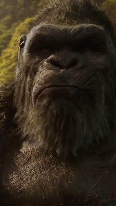Godzilla & Kong Geri Dönüyor! Monarch Legacy Of Monsters 2. Sezon