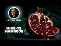 Hayedeh Amini Mive Ye Mamnooe Official Audio هایده امینی میوه ممنوعه 