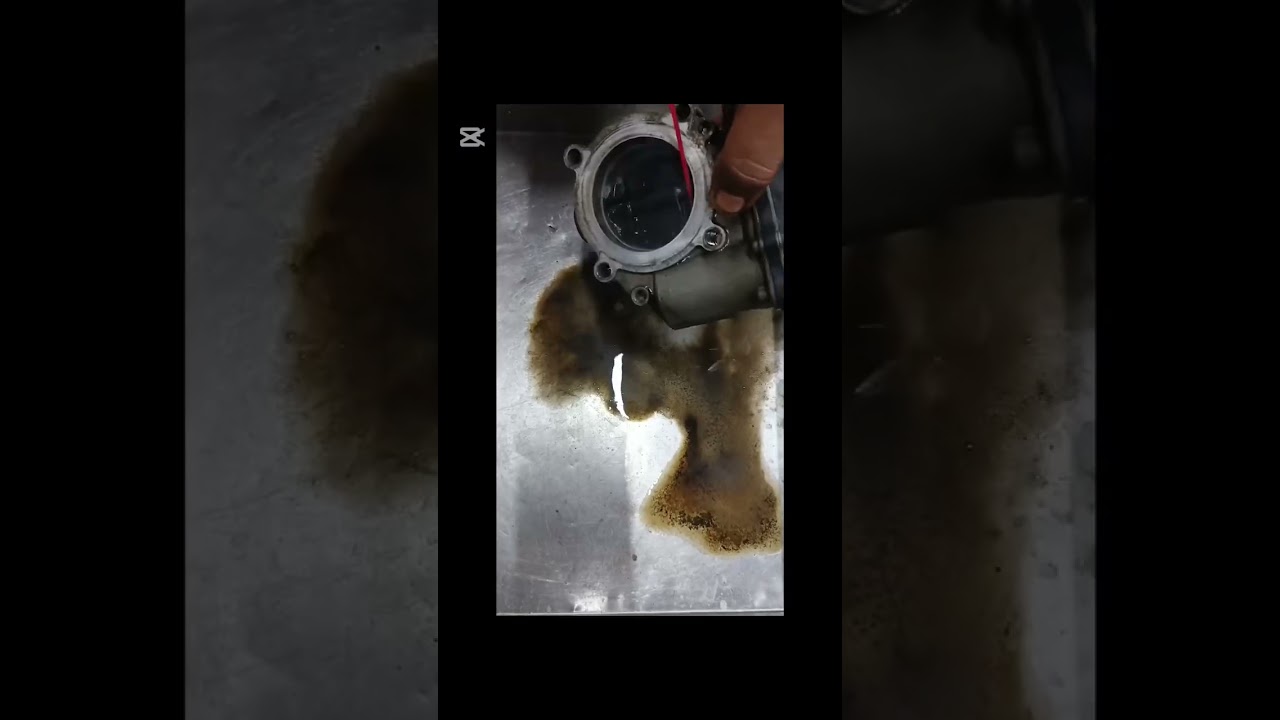 𝐀𝐮𝐝𝐢: 𝐄𝐧𝐠𝐢𝐧𝐞 𝐓𝐮𝐧𝐢𝐧𝐠 & 𝐏𝐫𝐞𝐦𝐢𝐮𝐦 𝐌𝐚𝐢𝐧𝐭𝐞𝐧𝐚𝐧𝐜𝐞