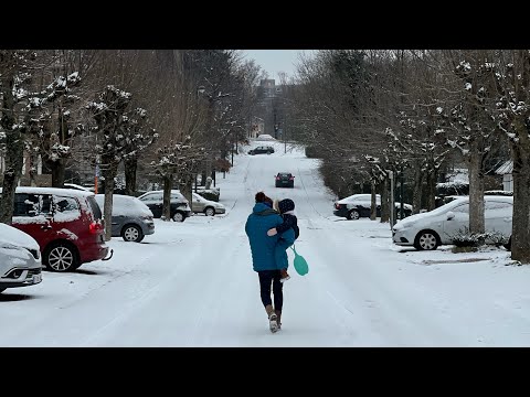 Vidéo: Ville De Neige Colorée