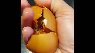 Cracking Egg shell#asmr#shorts#youtubeshorts#trending#viralvedio Net Worth