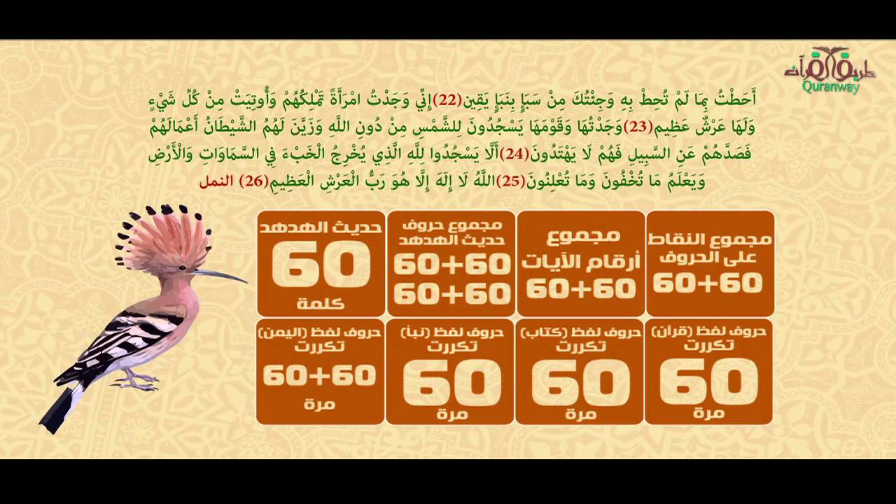 الهدهد يُبعث من جديد.. الجزء الأوّل