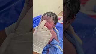 👶 Newborn Baby’s First Cute Moments 💖 | Adorable Baby Movement 🍼✨ #newbornbaby #viralshorts #babyboy