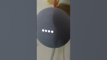 Asking google assistant to teach English funny