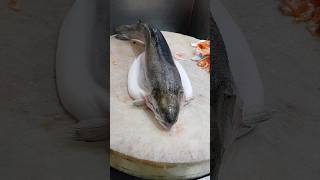 Australia Salmon Fish Fast Cutting Skillsshorts