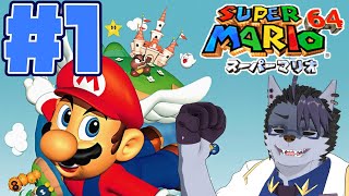 【 ほぼ初見プレイ 】マリオ初心者がプレイする【 スーパーマリオ64 】#1
