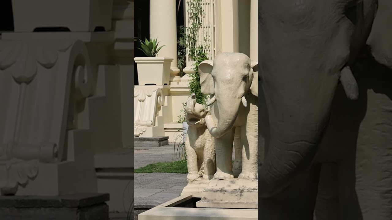 Is This Animal In Your Country?!?! 