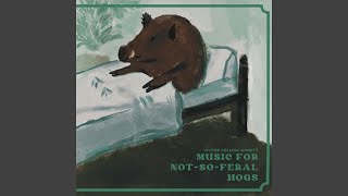 Hogs (Live)