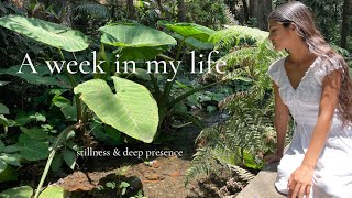 A week in my life | social media detox, nature & clarity screenshot 1