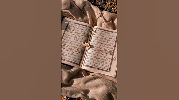#سورة_مريم #القران_الكريم #المصحف #اكسبلور #محمد_الفقية #duet