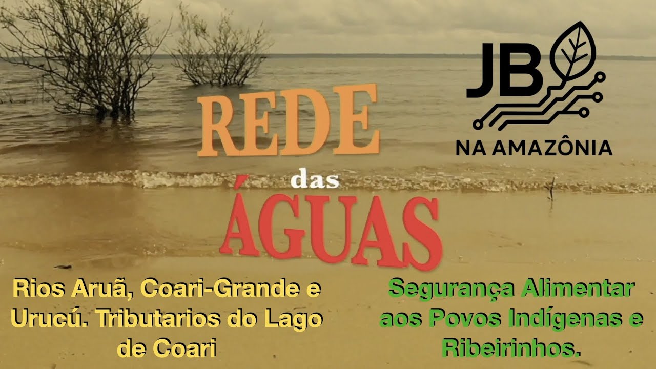Rede das águas