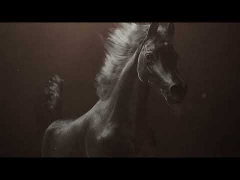 رموز التأسيس