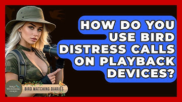 How Do You Use Bird Distress Calls On Playback Devices? - Bird Watching Diaries