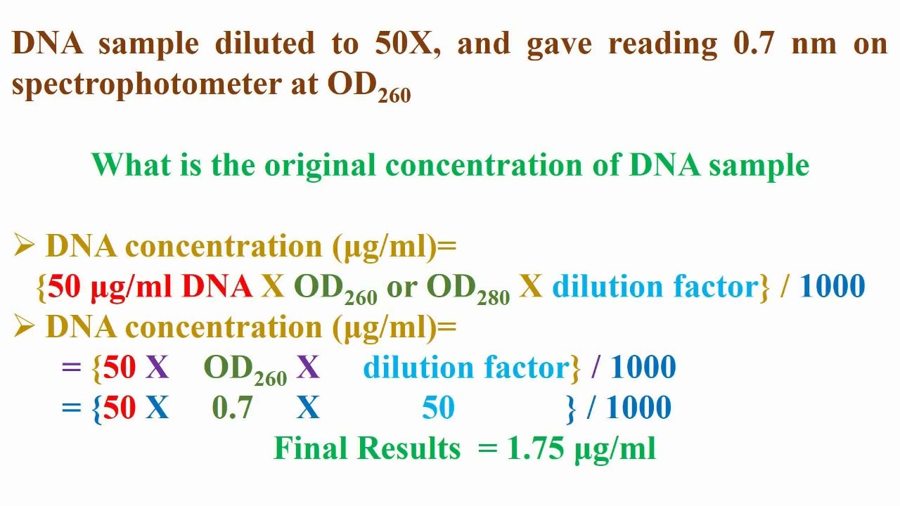 Spectrophotometer Equations and Examples for DNA and RNA Concentrations and Quantification