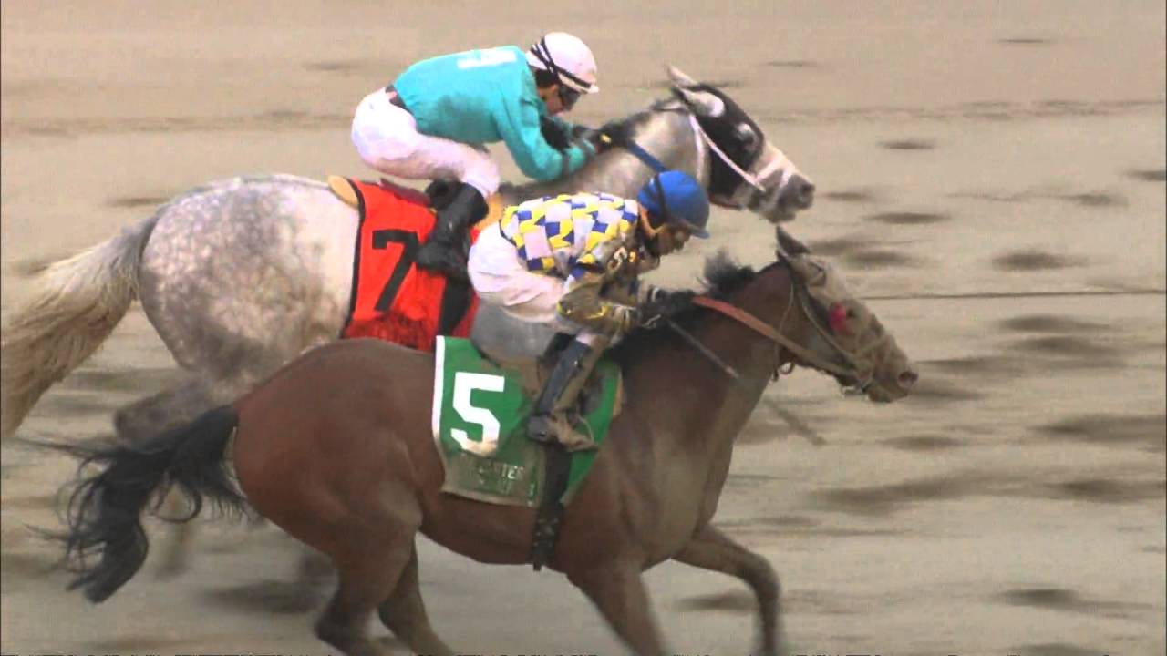 Post Race Interview Carter Stakes with David Jacobson YouTube