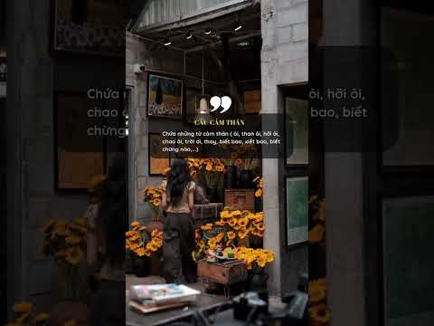 Các kiểu câu xét về mục đích nói #chinhphucmonnguvan #vanhoc #quotes #fyp