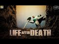 क्या मरने के बाद भी इनसान जिंदा रेह सकता है  | Life After Death