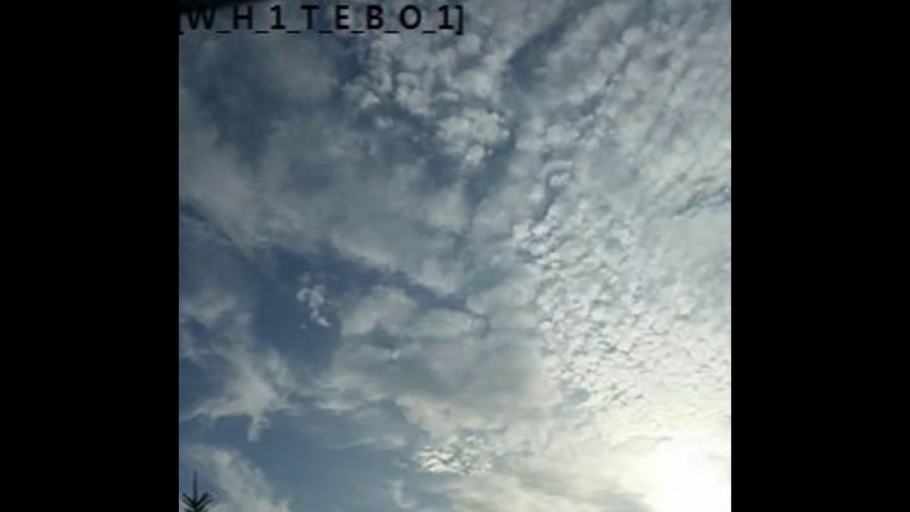 [SMALL_T0WN_W1SC0NSIN_BLUES] Full album by [WH1TEB01]