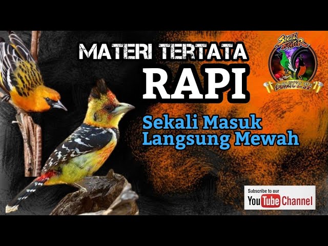 Materi Tertata Rapi, Roll Tembak Kasar ❗️ Sekali Masuk Langsung Mewah class=