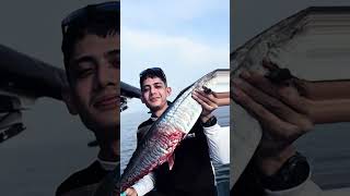 Strike tenggiri pakai metal jig gaes #fishing #strike #mancingmania #shimano #daiwa #pemula
