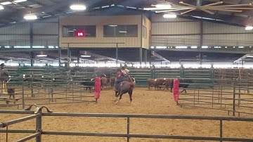 Leah Hochhalter & Its Ruby Time - RSNC Ranch Sorting