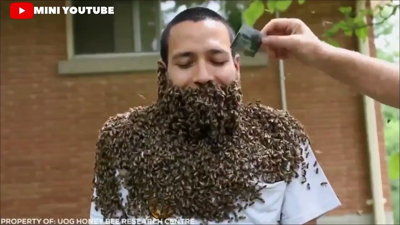 Les MOMENTS LES PLUS INCOYABLES qui IMPRESIONNE quiconque de REGADER