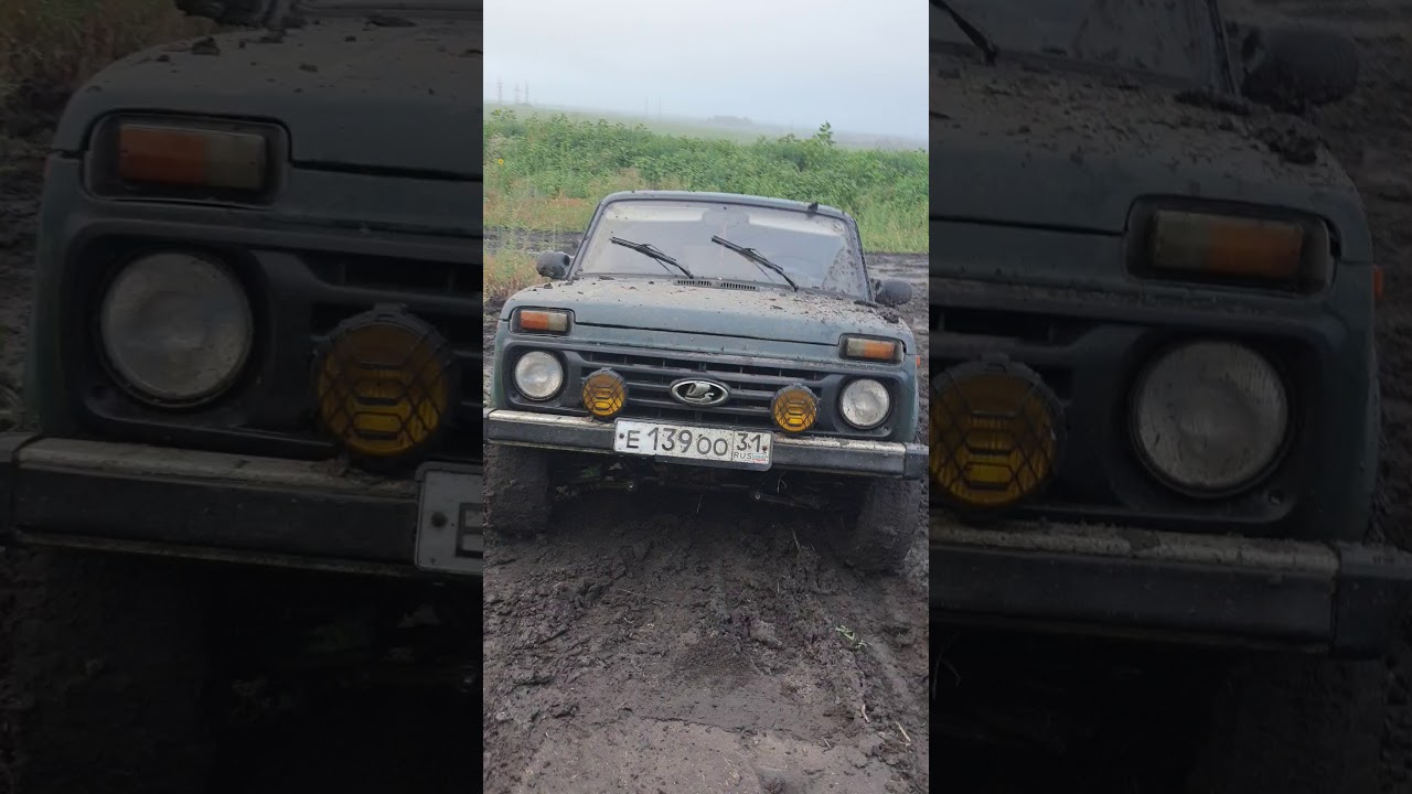 Нива поле фото