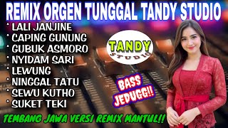 REMIX ORGEN TUNGGAL TANDY STUDIO❗Tembang jawa versi remix mantul❗Lali janjine, Caping gunung