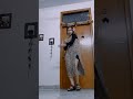 Gabriela Song Dance ЁЯШЕтЬМя П Trending Viraldance Trendingdance Gabriela Katseye Kpop Subscribe Gabriela Song Dance ЁЯШЕтЬМя П Trending Viraldance Trendingdance Gabriela Katseye Kpop Subscribe