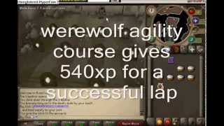 Training at Werewolf Agility Course