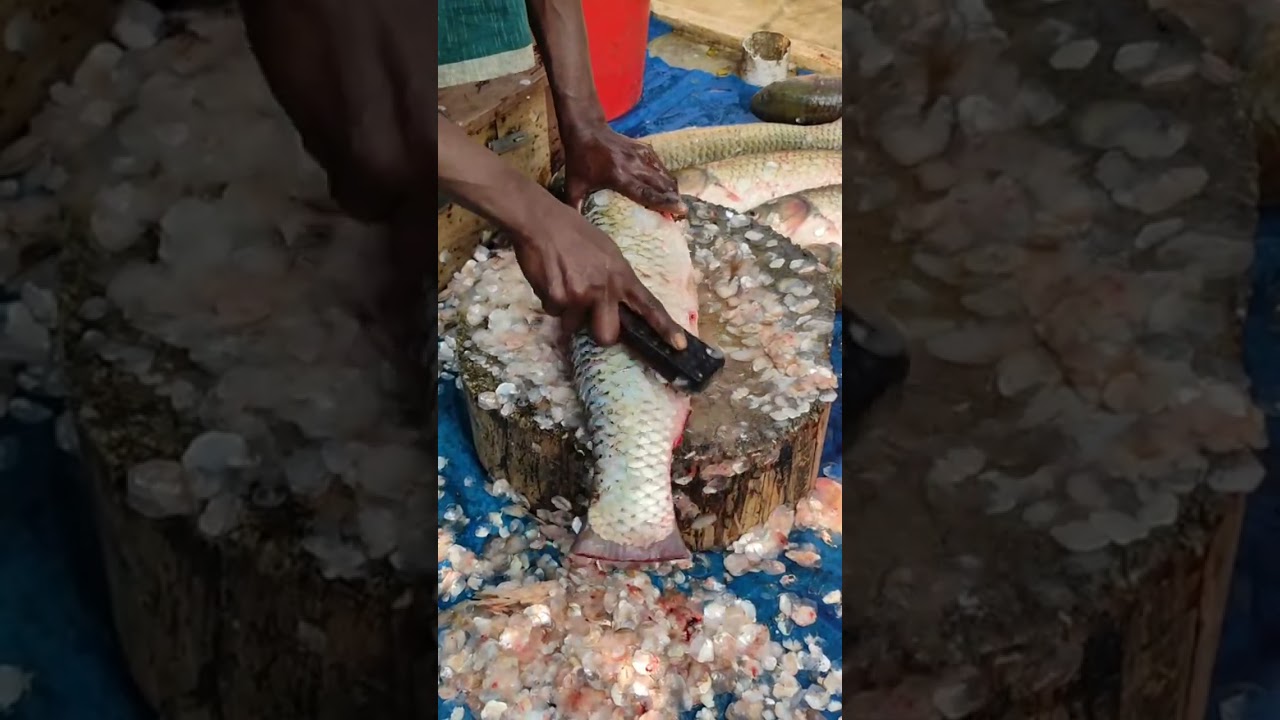 Best Cutting Skills |Fish Cutting By Expert Fish Cutter 