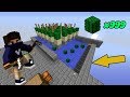 SINIRSIZ VERİMLİ KAKTÜS FARMI! - Minecraft Skyblock