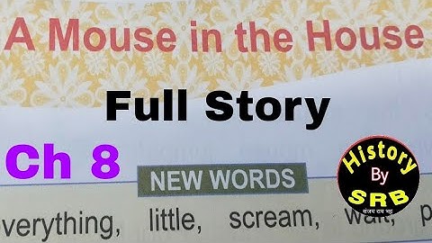 A Mouse in the House/ Ch 8 / Story/ DAV class 2/ My English Reader/SRB