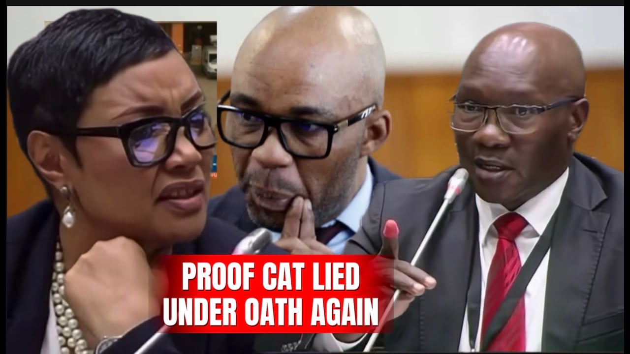 GENERAL KHUMALO PROVES CAT LIED UNDER OATH ABOUT THIS AND MP JAMES HAD THIS COMMENT!