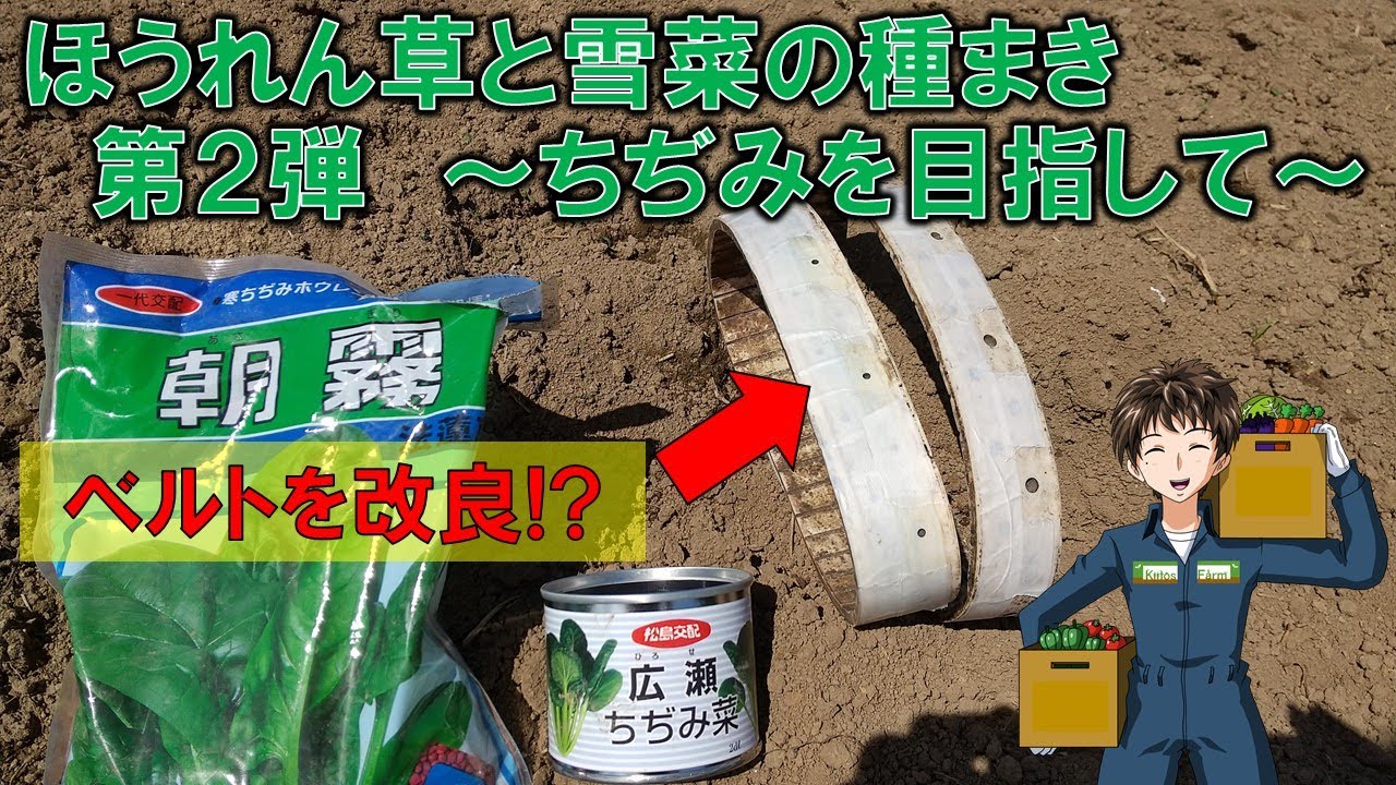 Spinach & Yukina Seed Sowing 2] I wanted to increase the spacing