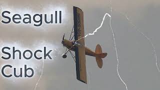 Seagull Shock Cub with OS FT240 Shock Cub Ultralight Version
