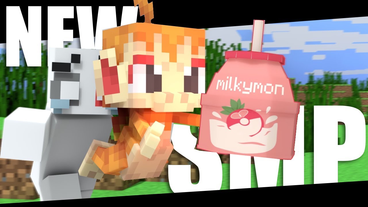 My First Experience On This NEW SMP...