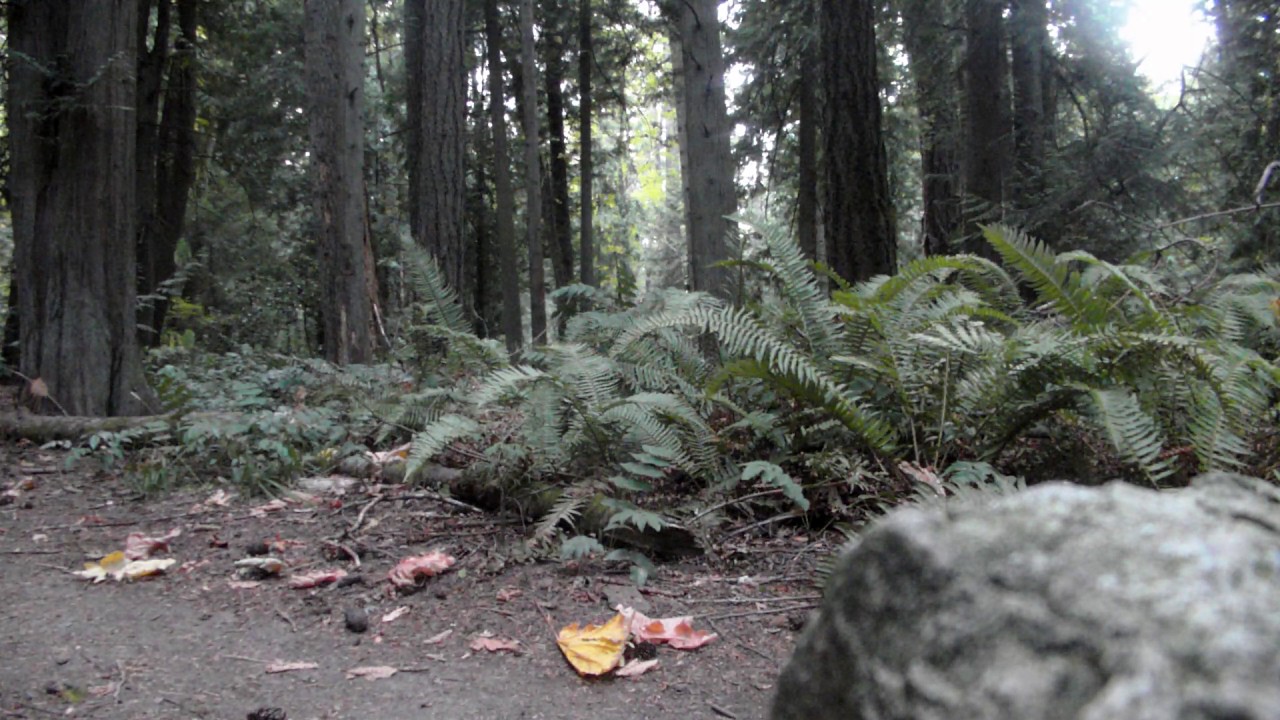 Beaver Lake Aug 26, 15