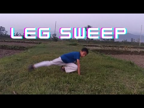 How to do martial arts leg sweep in the WORLD IN 6 MINUTES...