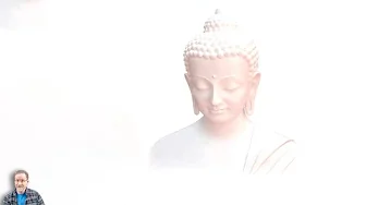 How Did the Buddha Teach Nonviolence Without Being Passive?