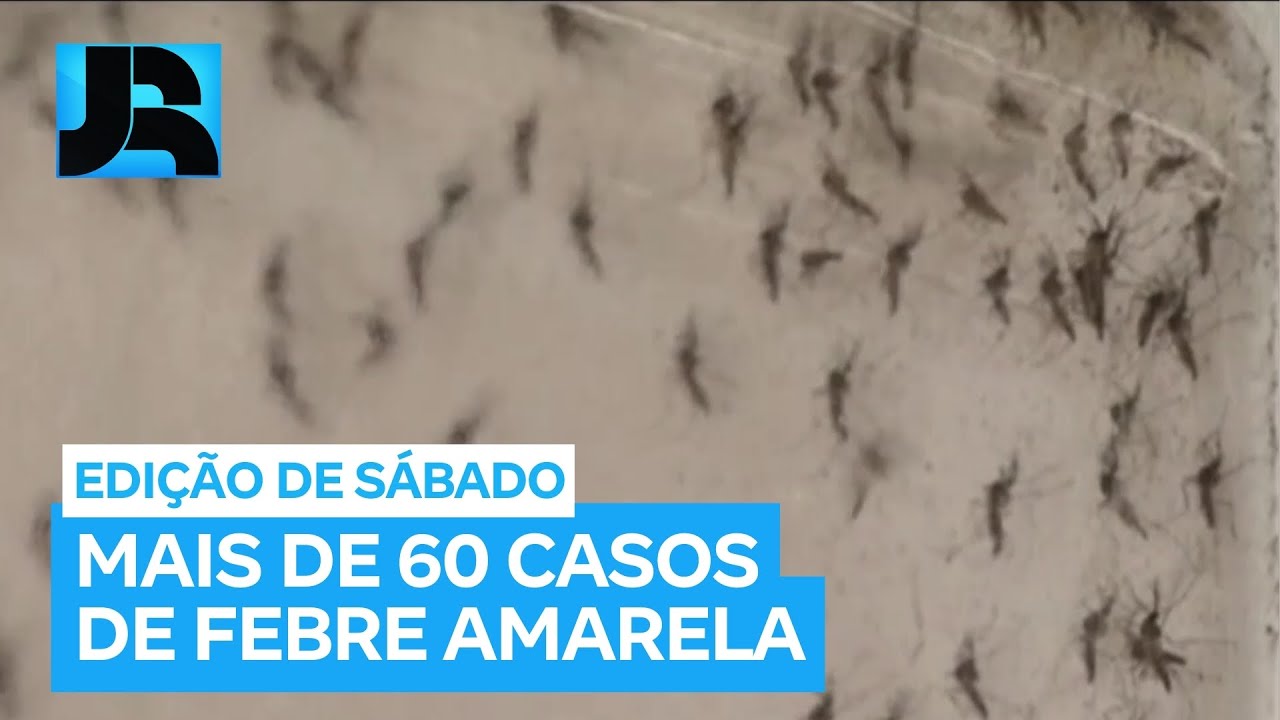 Febre amarela: país registra 66 casos da doença em humanos nos últimos nove meses